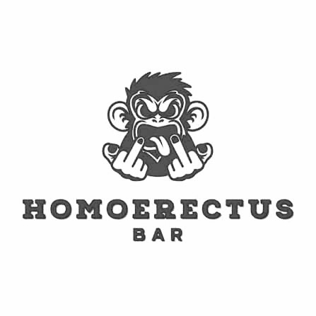 Homo Erectus