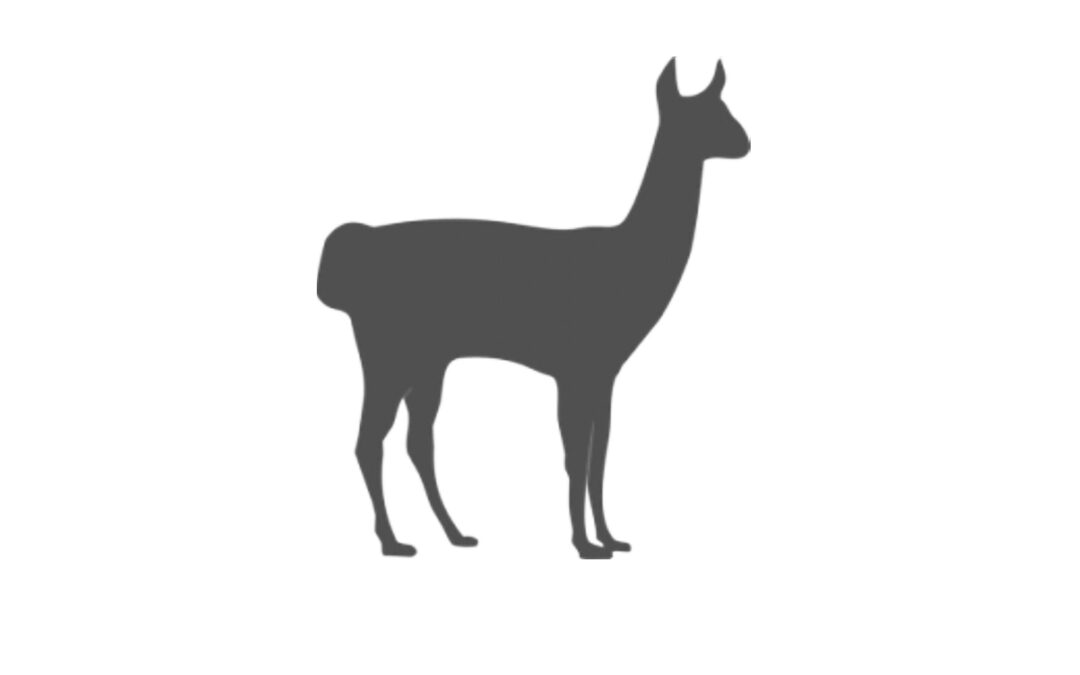 Projet Lama