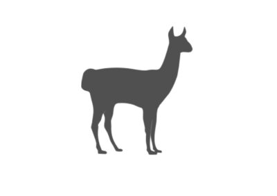Projet Lama